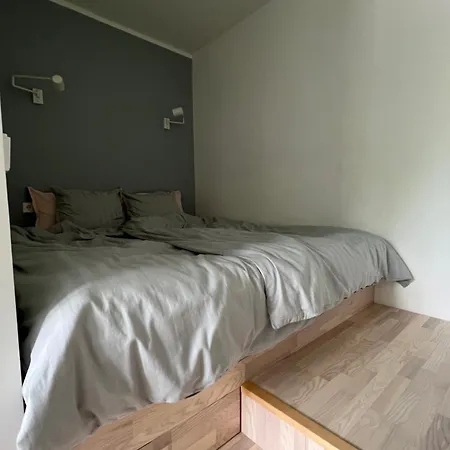 Mugavustega Korter Pargi Serval Apartament *